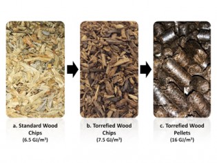 Photo courtesy of torri.org