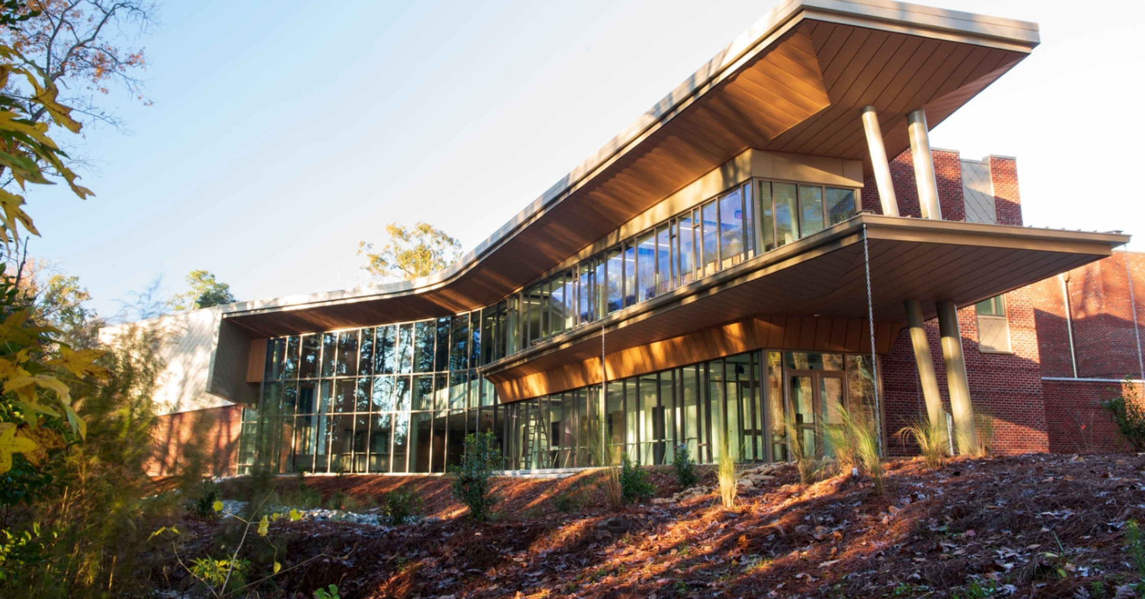 Georgia Southern's Waters College of Health Professions Building during sunset with large glass windows and a rectangular frame surrounded by foliage.