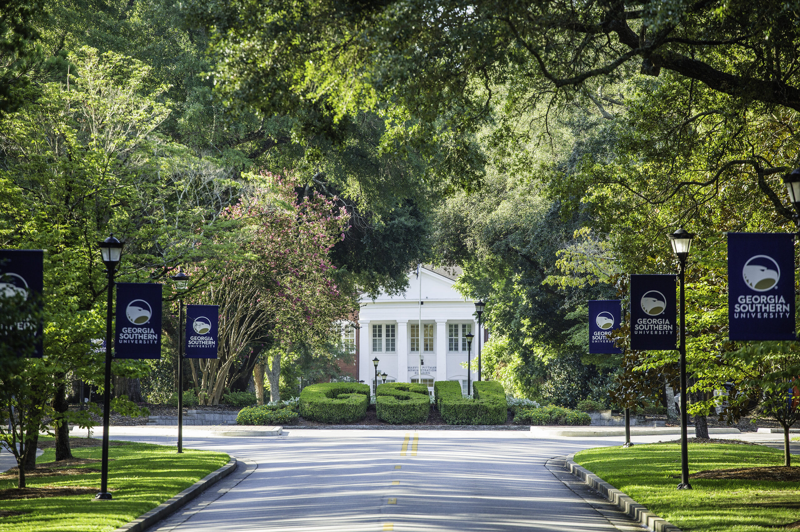 Campus street lined with trees and blue Georgia Southern University banners along lamp posts; white building in the background.