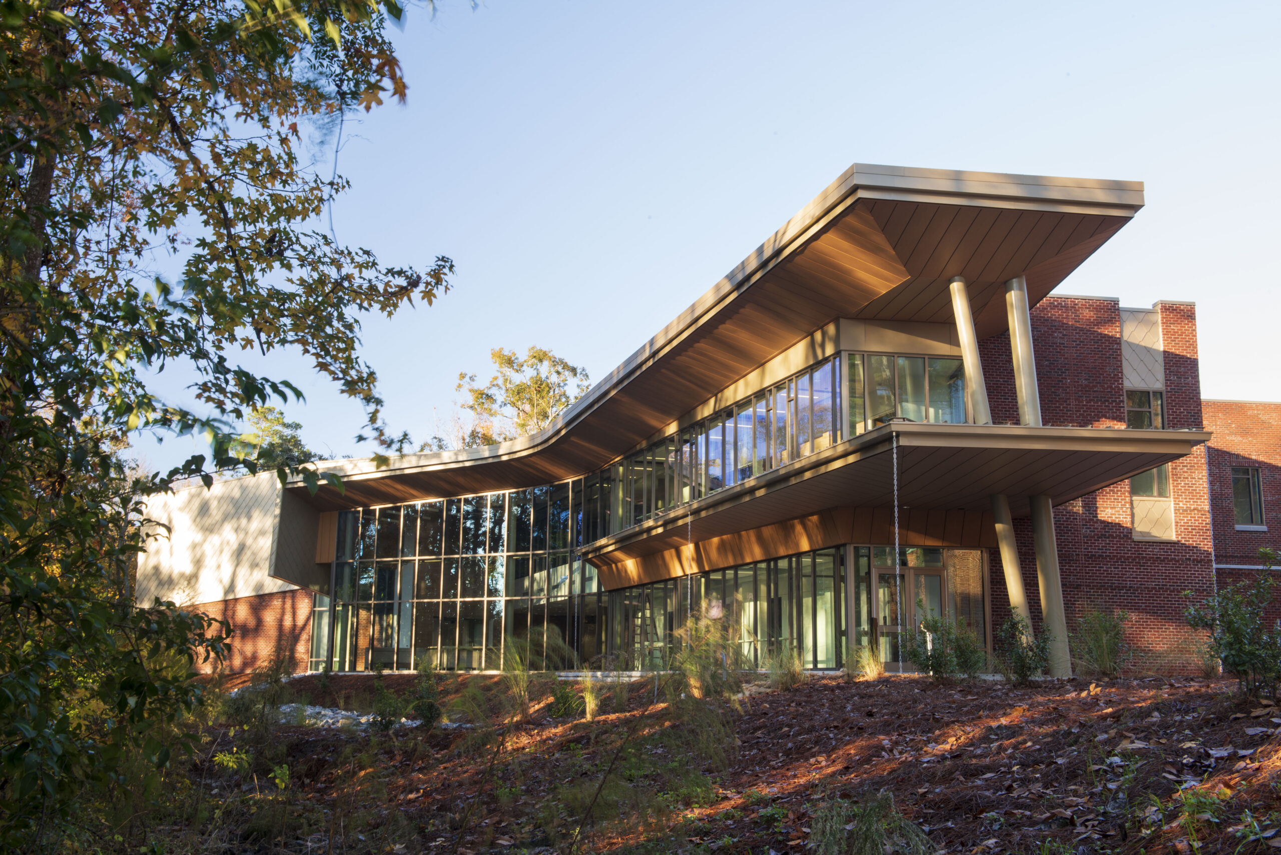 Exterior photo of the Waters College of Health Professions building