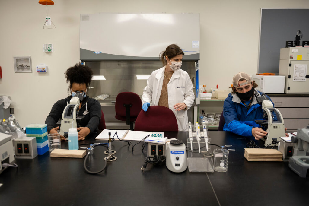 Molds, mildews, mushrooms and more: Georgia Southern professor lands grant funding for an innovative and accessible fungal curriculum and genomics project